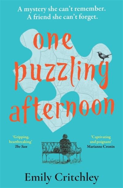 One puzzling afternoon