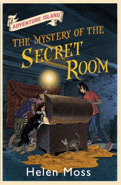 The Mystery Of The Secret Room