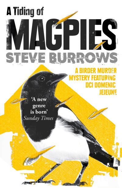 A tiding of magpies