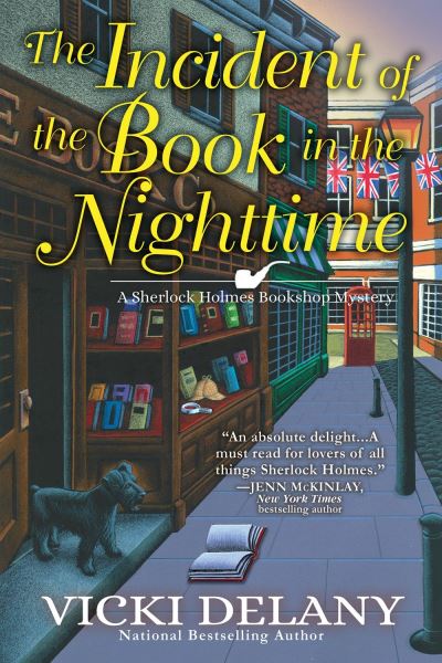 The Incident Of The Book In The Nighttime